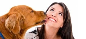 cane-baci-1728x800_c