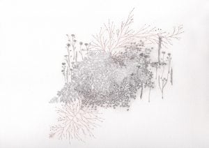 WORKS ON PAPER 300x212