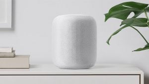 apple 300x169