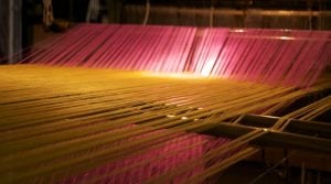 Seta 300x167