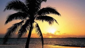 isole 300x169