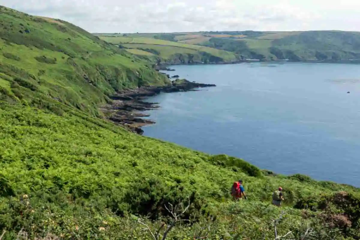 Coast Path
