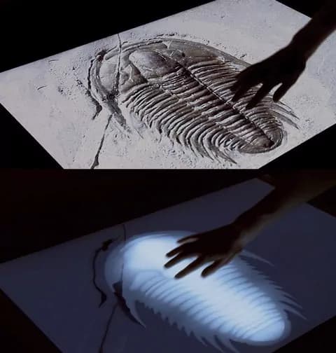 Il 3D diventa touch (VIDEO)