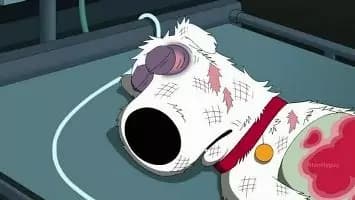 Muore Brian, il cane dei Griffin