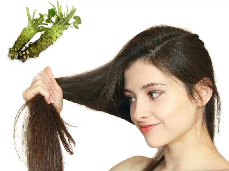 Wasabi: la pianta che stimola il cuoio capelluto