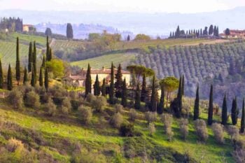 campagna senese