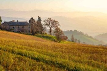 campagne montefeltro