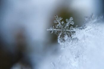 Fiocco di neve