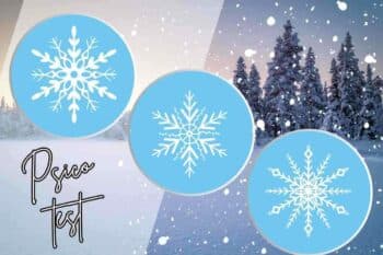 Test della personalità del fiocco di neve