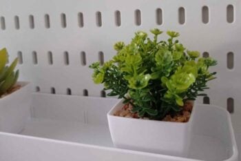 come trattare le piante artificiali