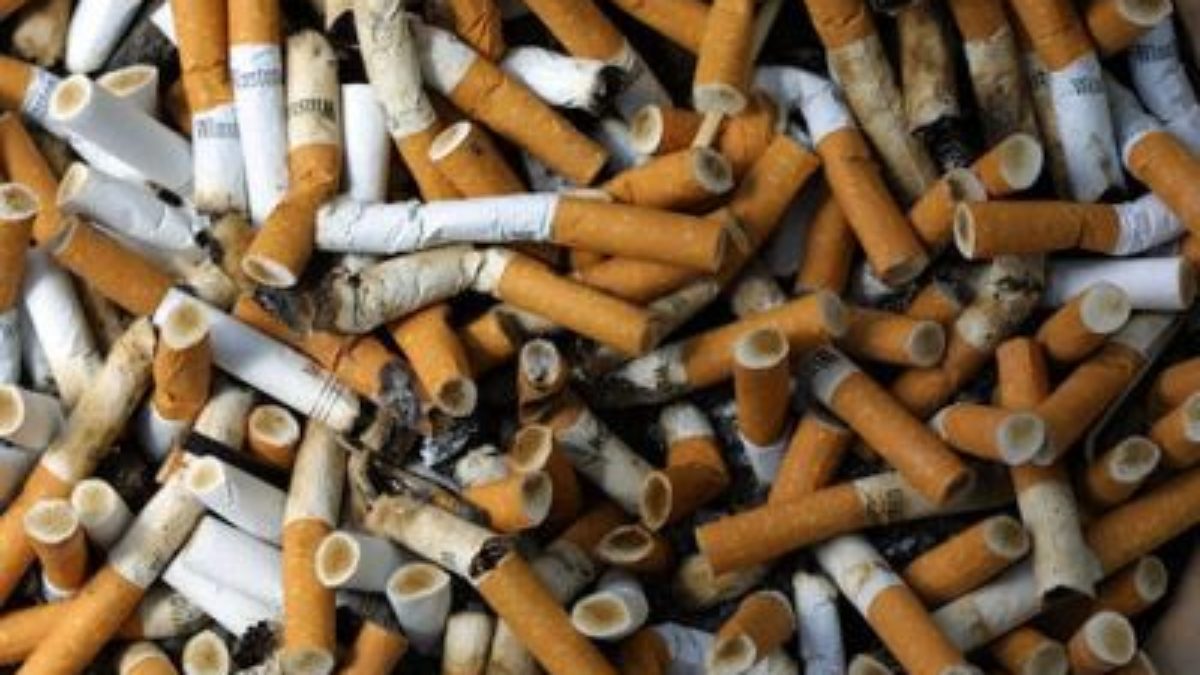 Tutta la verità sulle sigarette!! Ecco l'esperimento che dimostra quanto  fanno male (VIDEO)