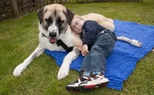 C_4_articolo_2027652__ImageGallery__imageGalleryItem_4_image