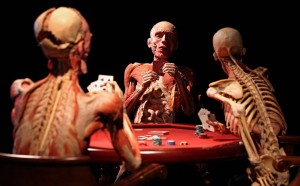 Body Worlds Exhibition To Open In Berlin