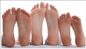 piedi