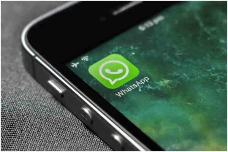 whatsapp la neo modalità puffo